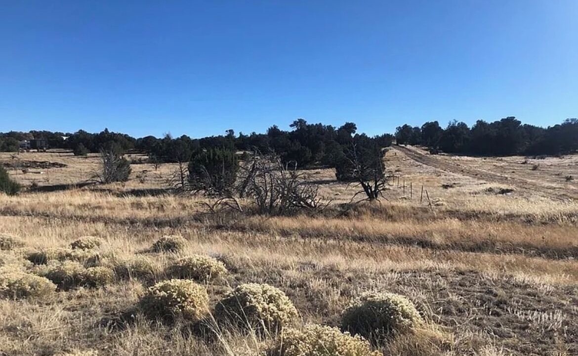 Photo of Others in Walsenburg