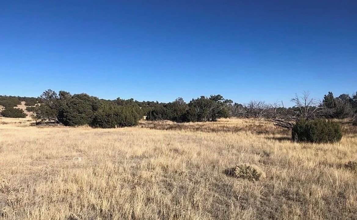 Photo of Others in Walsenburg