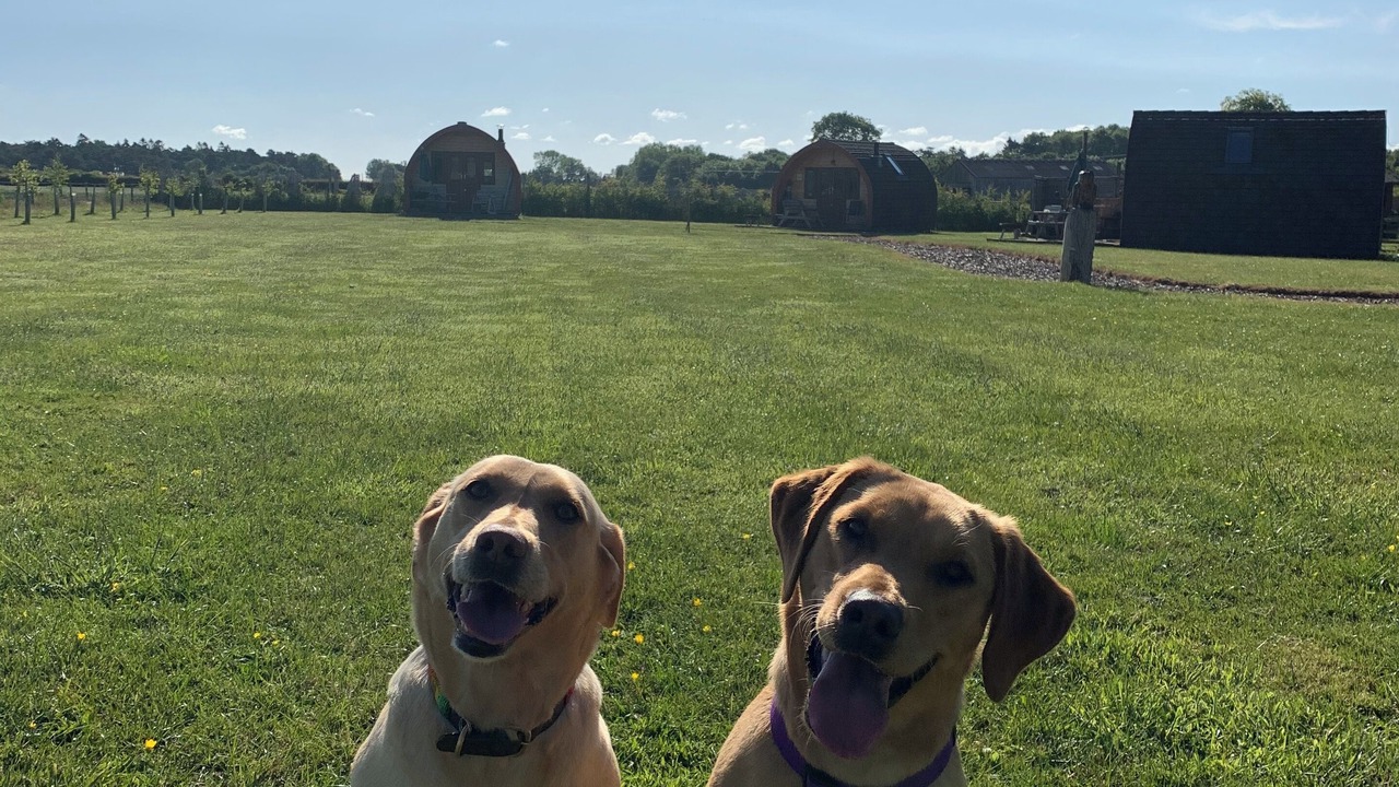 Photo of Outdoor in Kilnwick