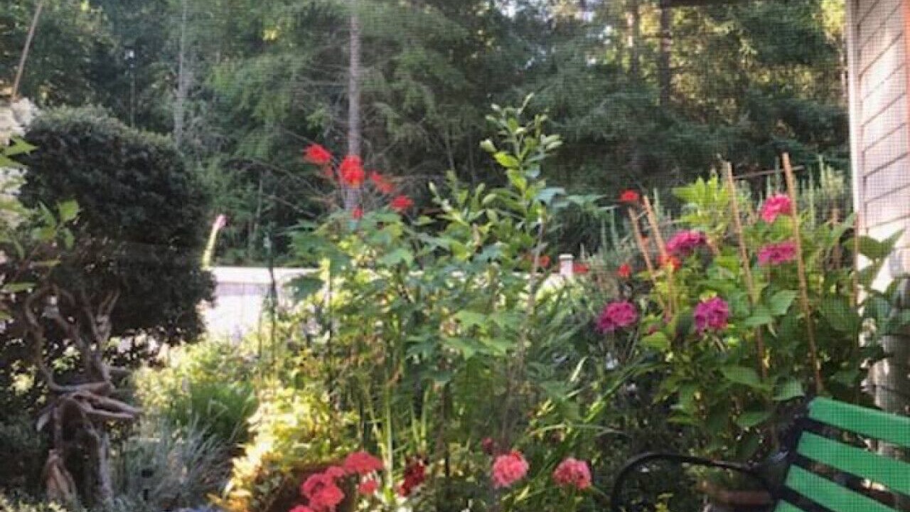 Photo of Patio Balcony in North Cowichan