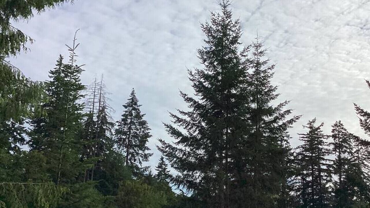 Photo of Others in North Cowichan