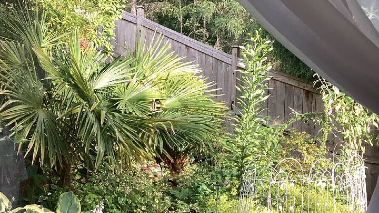 Photo of Outdoor in North Cowichan