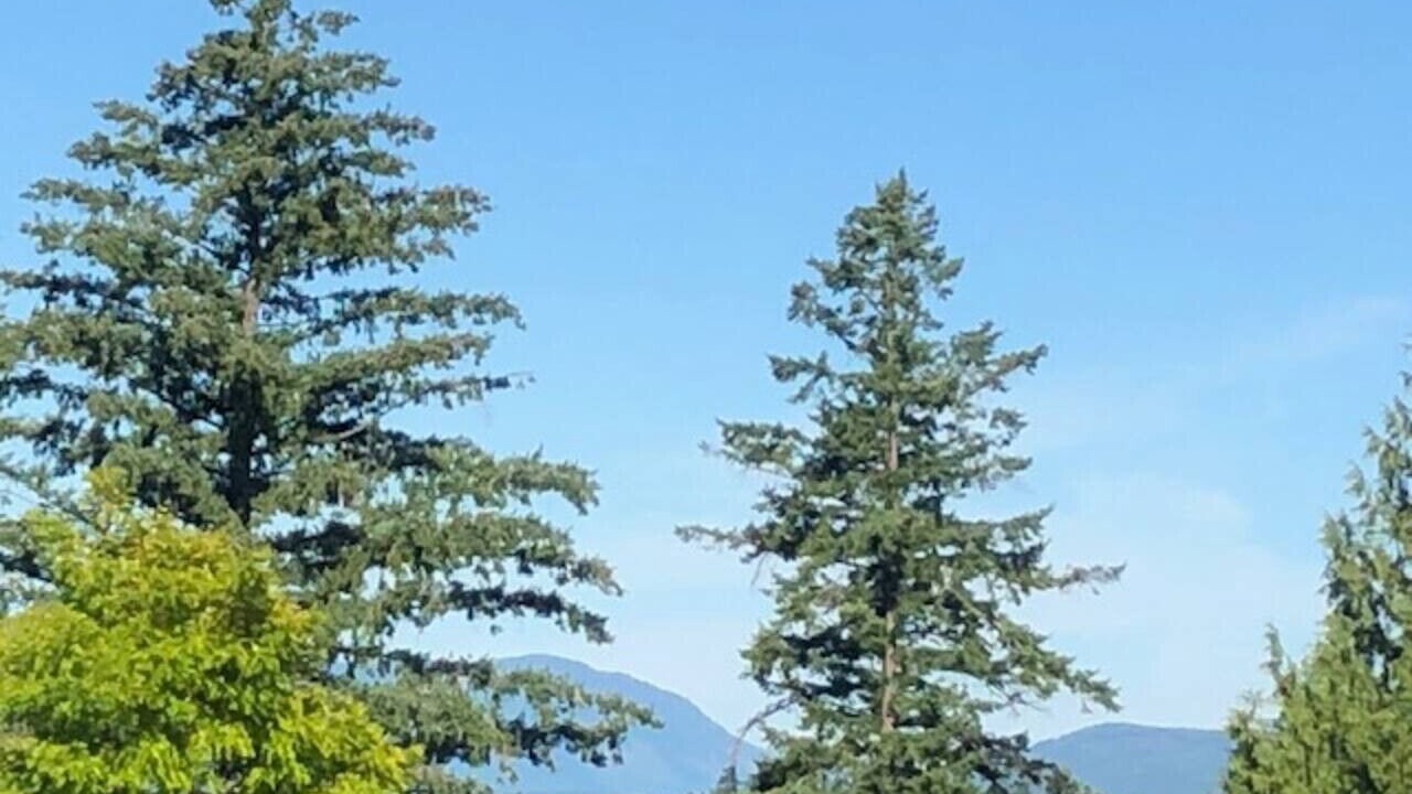 Photo of Others in North Cowichan