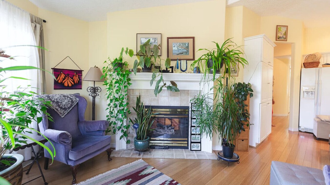 Photo of Livingroom in North Cowichan