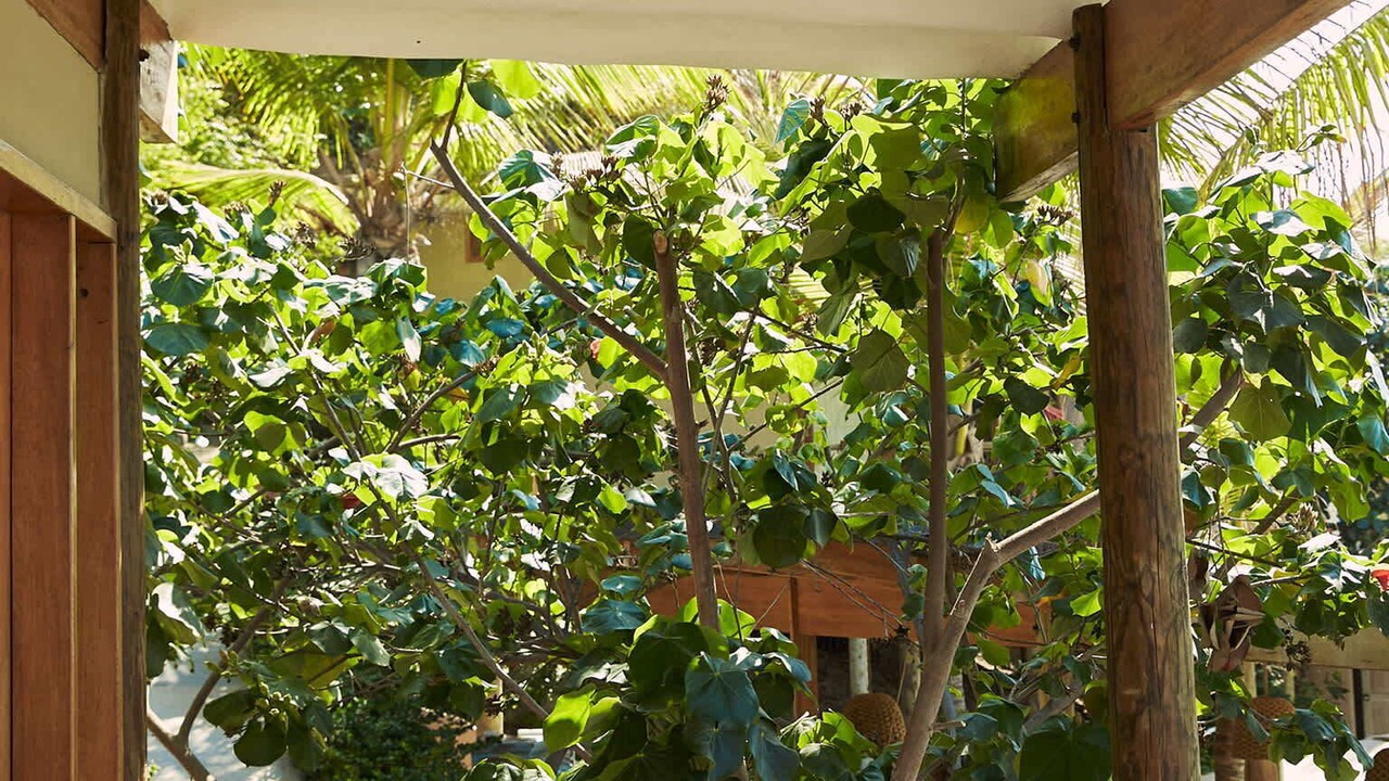 Photo of Outdoor in Las Pocitas