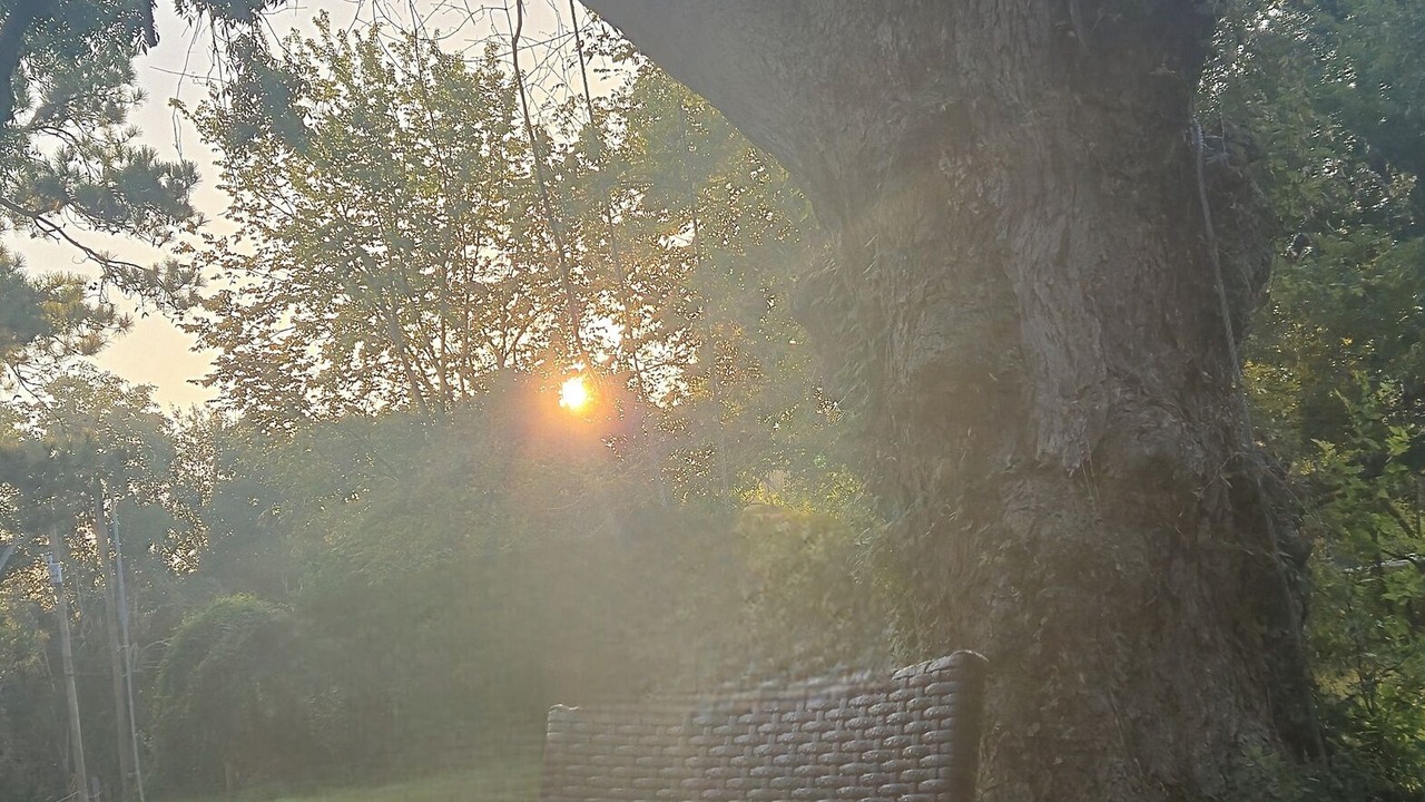 Photo of Outdoor in Alvin