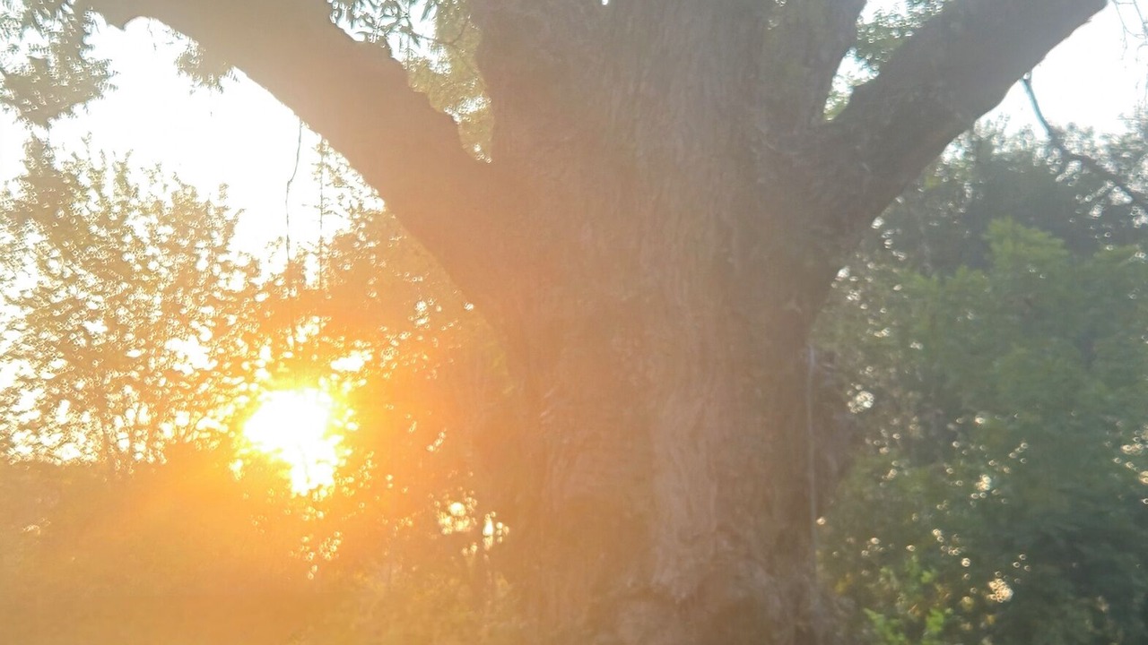 Photo of Others in Alvin