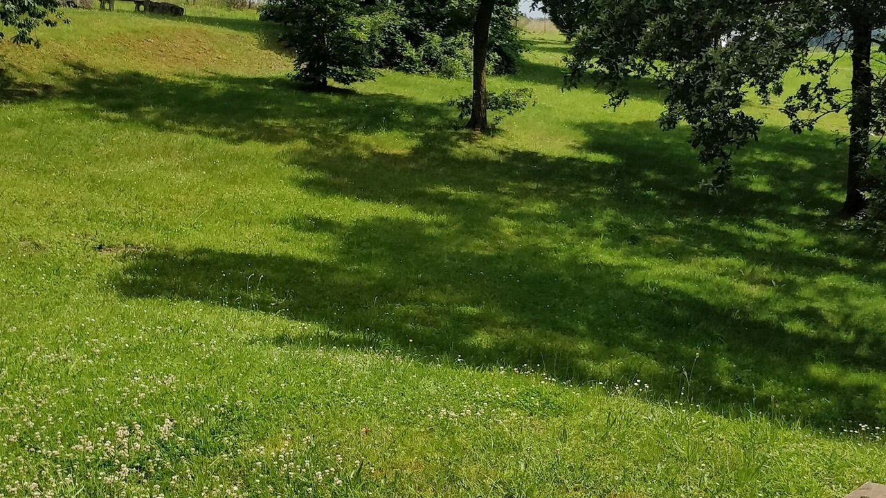 Photo of Outdoor in Blaimont