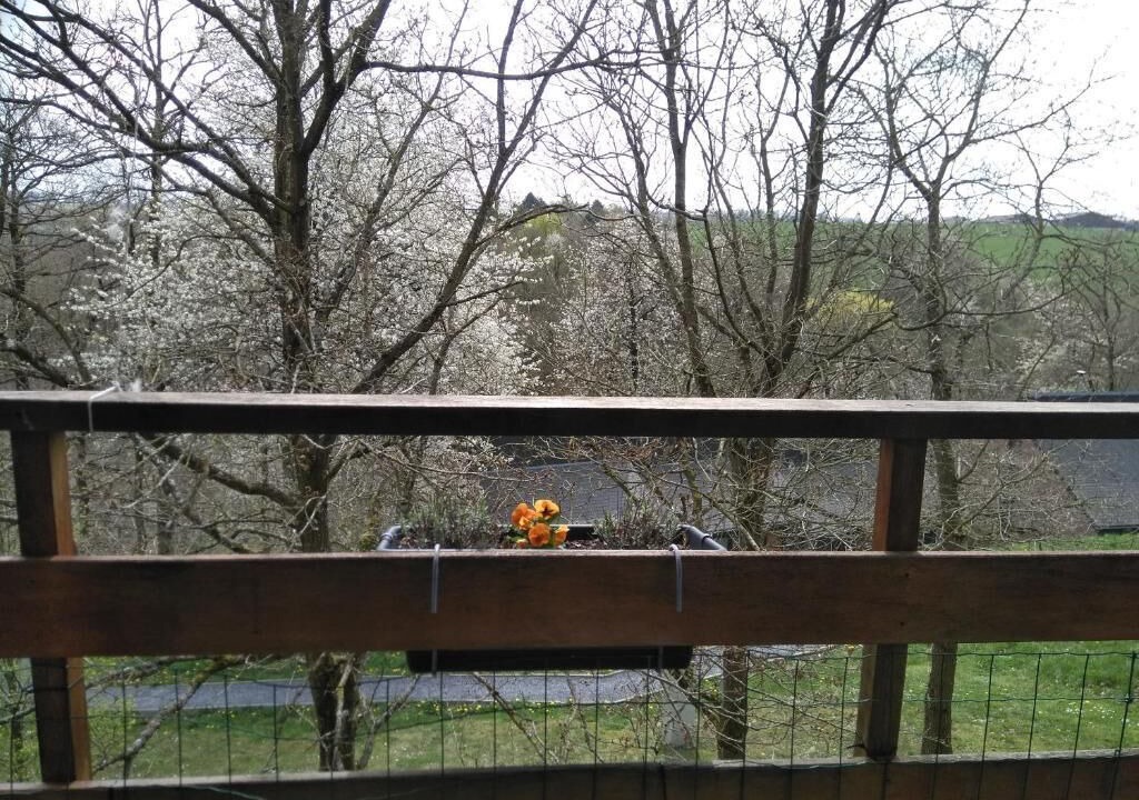 Photo of Outdoor in Blaimont