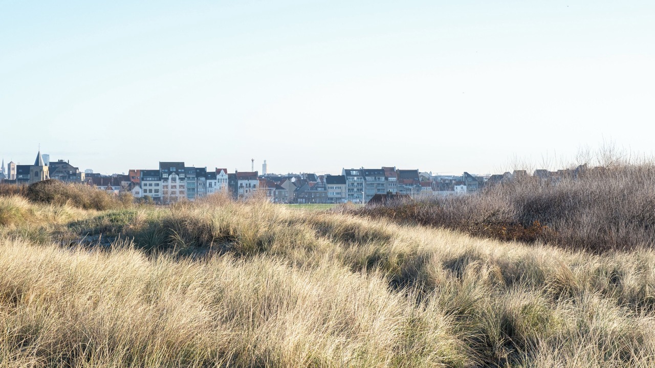 Photo of Others in Raversijde