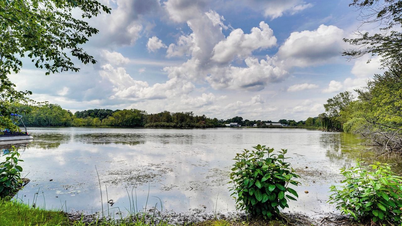 Photo of Outdoor in Vandercook Lake