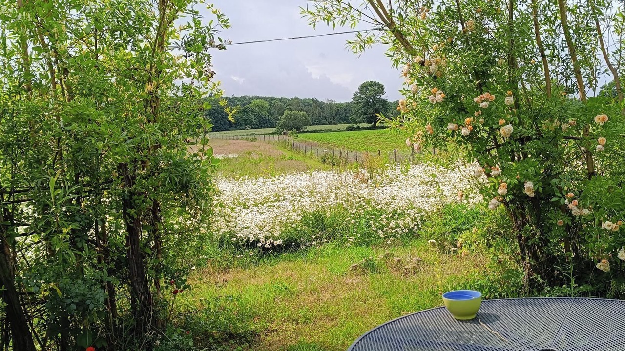 Photo of Outdoor in La Calamine