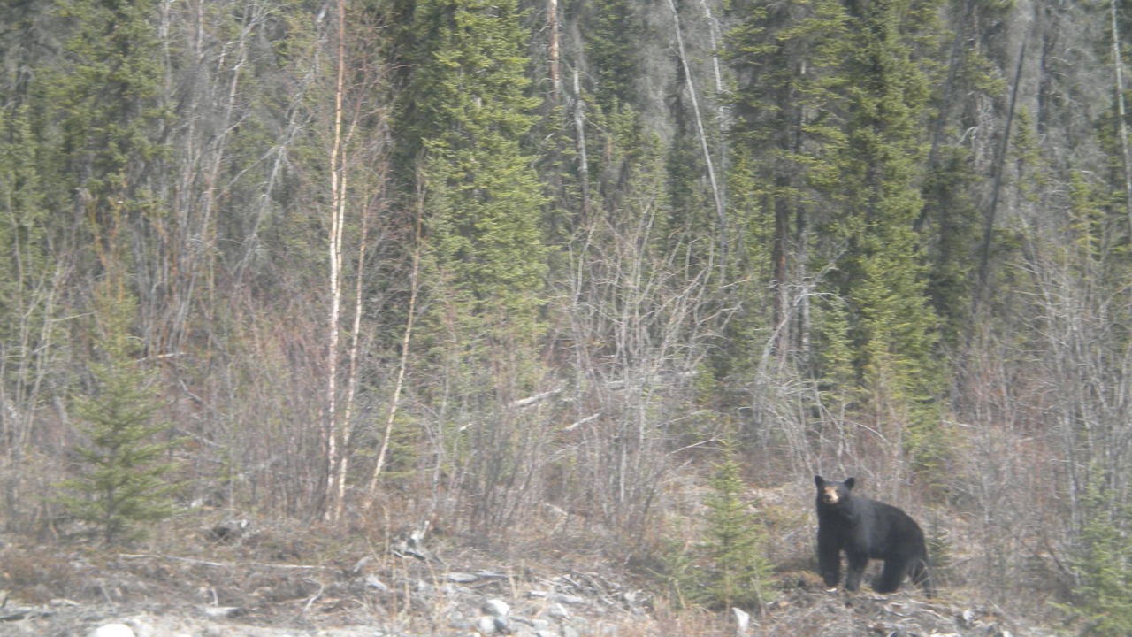 Photo of Others in Healy