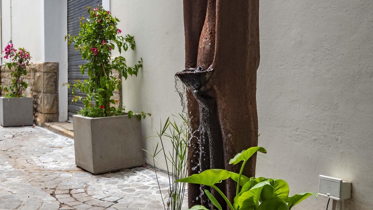 Photo of Outdoor in Simon's Town