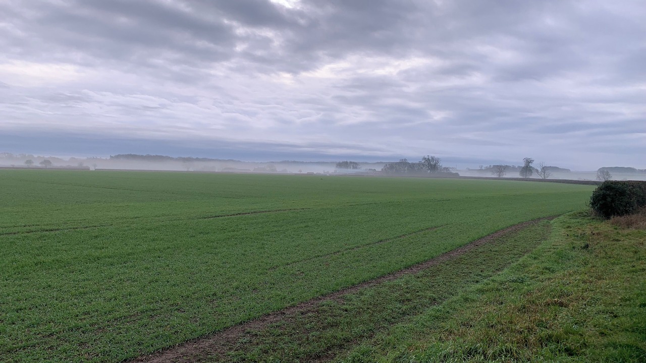 Photo of Others in Kilnwick