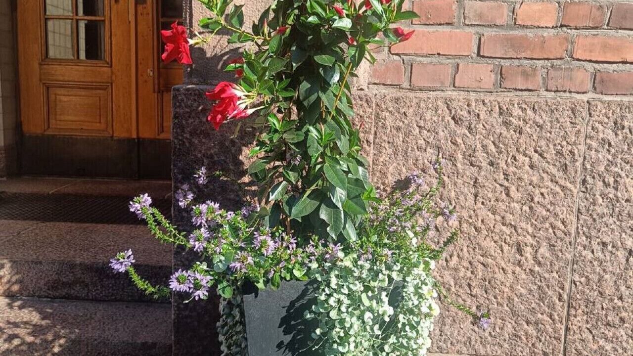 Photo of Outdoor in Toolo