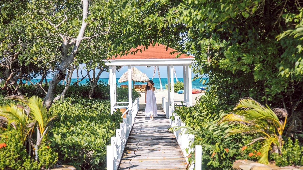 Photo of Others in Royal Belize Island