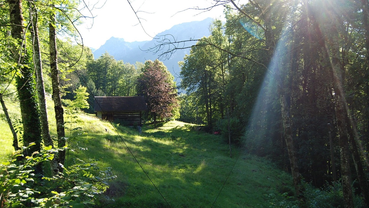 Photo of Others in Schwanden