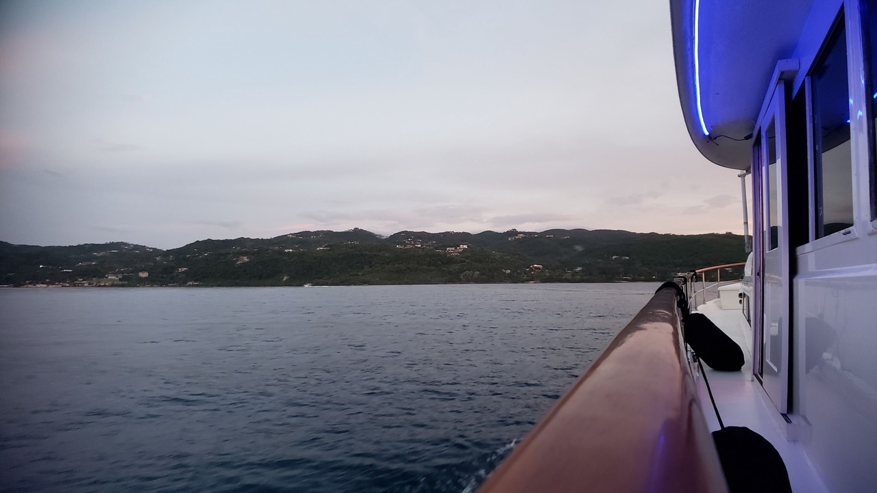 Photo of Others in Montego Bay