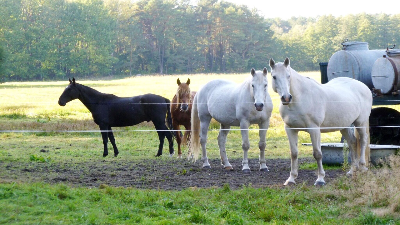 Photo of Others in Selchow