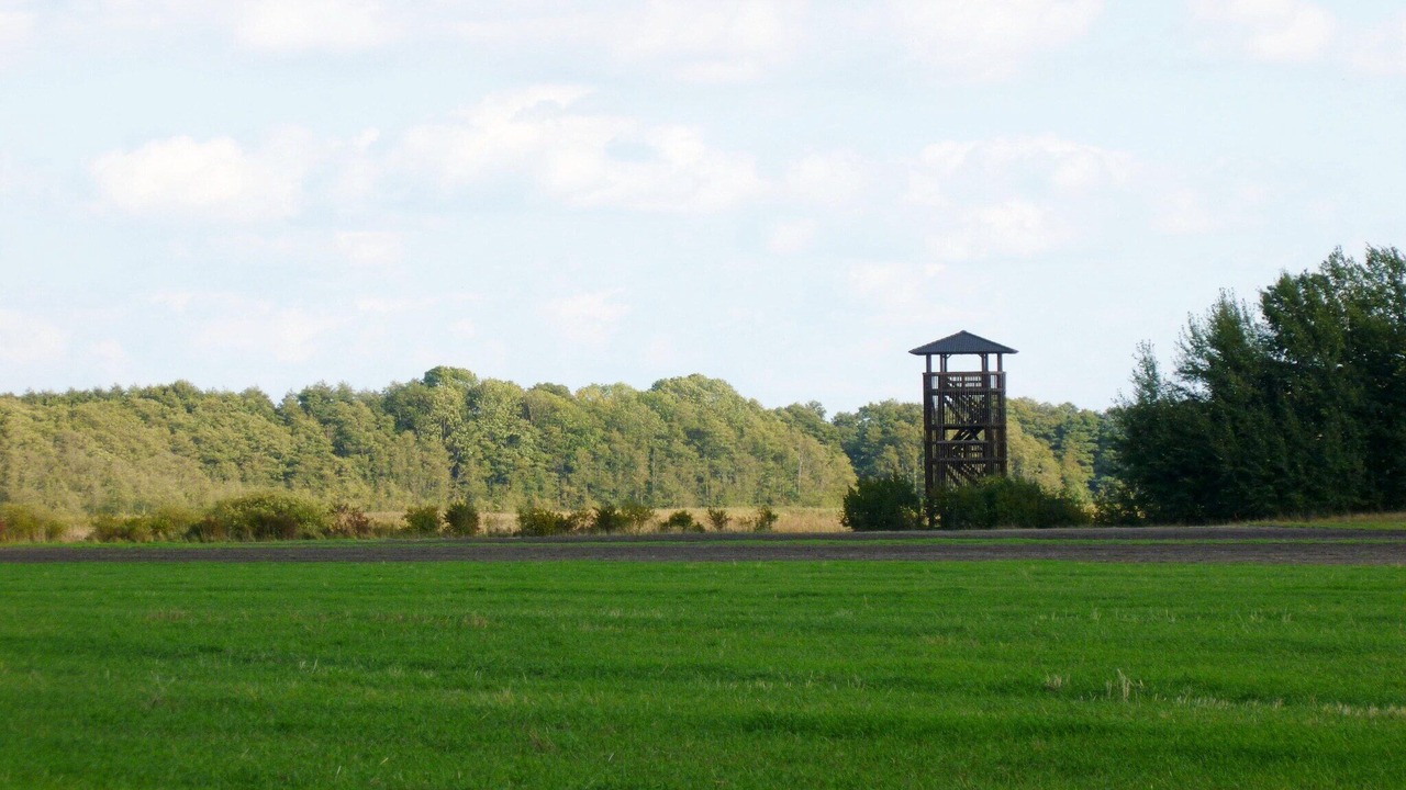 Photo of Others in Selchow