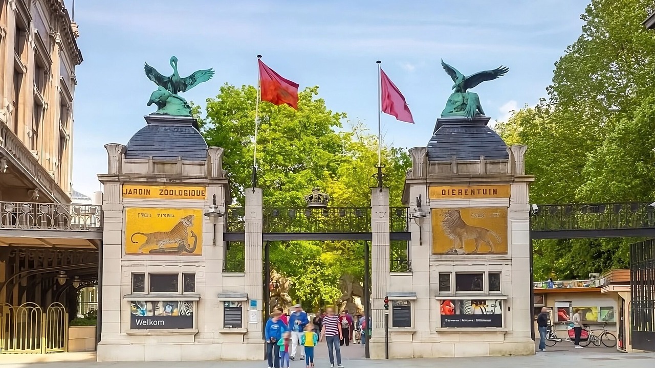 Photo of Others in Antwerp