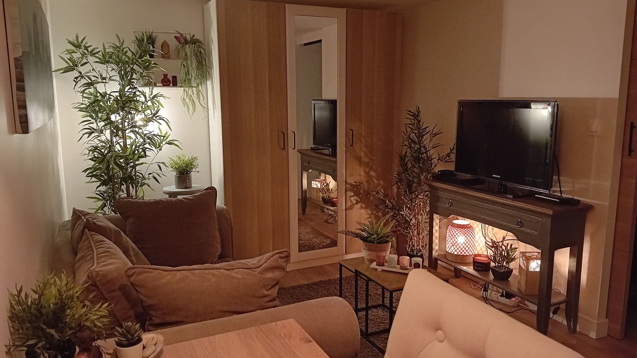 Photo of Livingroom in Sainte-Genevieve-des-Bois