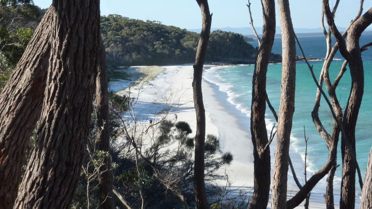 Photo of Others in Hyams Beach