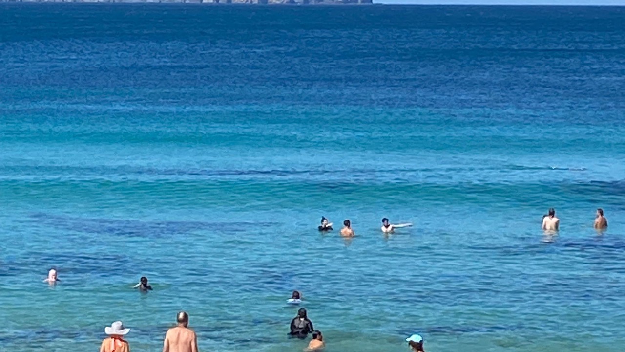 Photo of Others in Hyams Beach