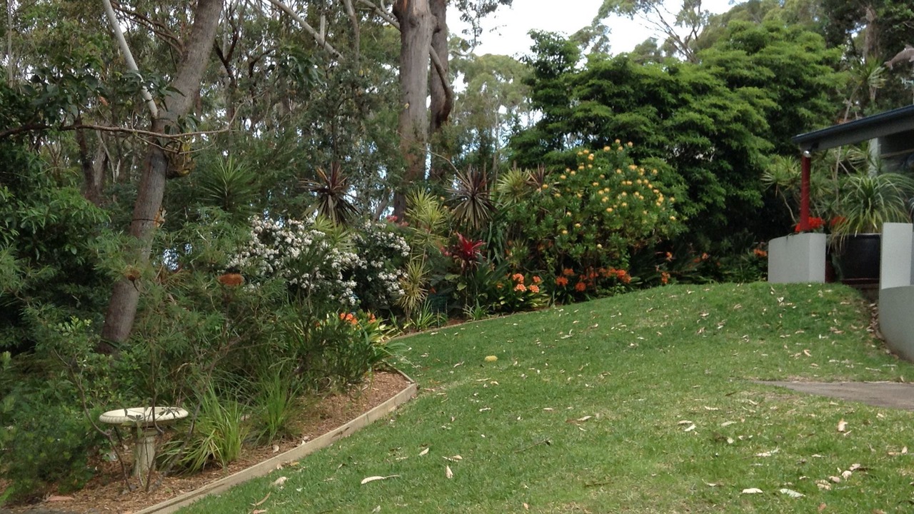 Photo of Outdoor in Hyams Beach