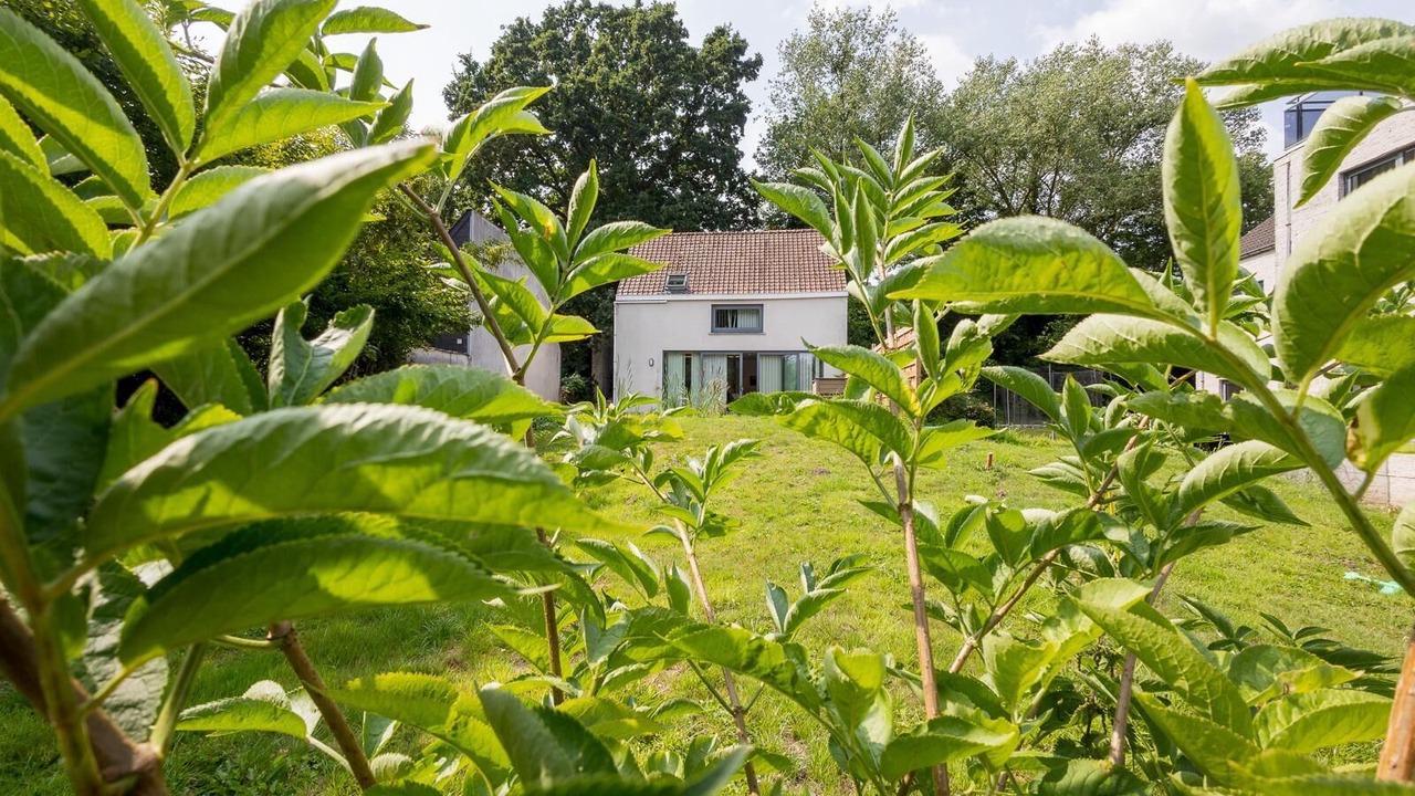 Photo of Outdoor in Melle