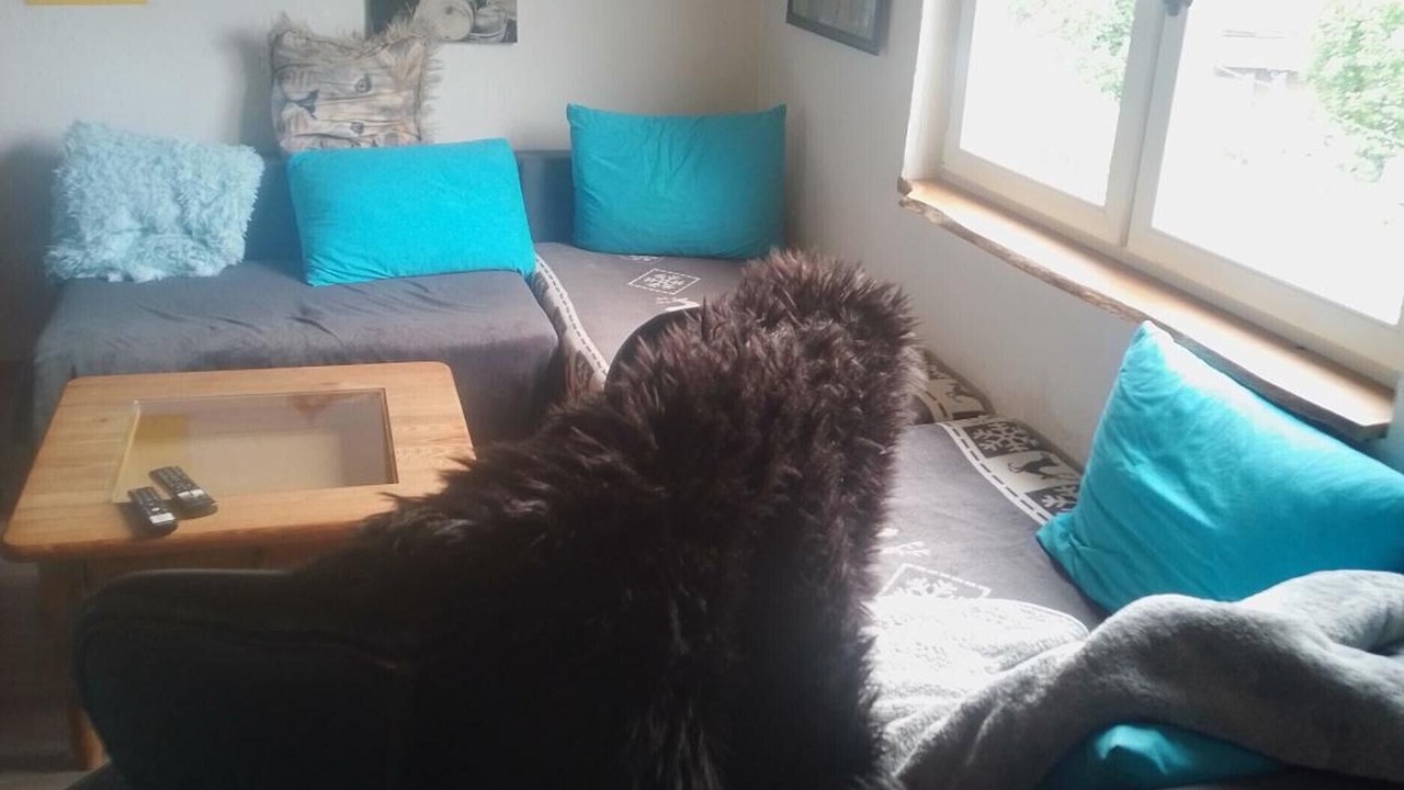 Photo of Livingroom in Nuttlar