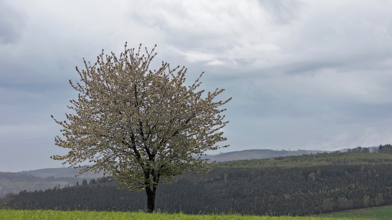Photo of Others in Ortsmitte