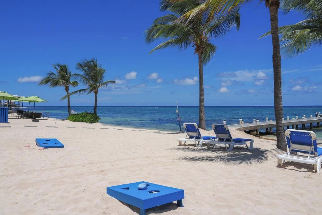 Photo of Others in Colliers Bay