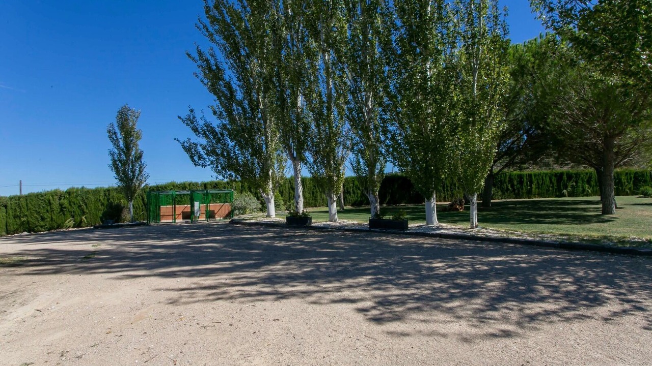 Photo of Outdoor in Requena