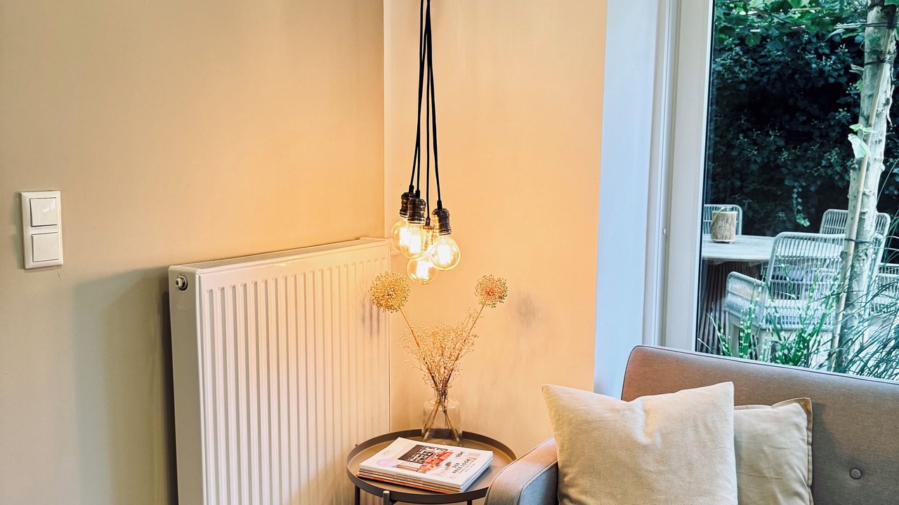Photo of Livingroom in Minden