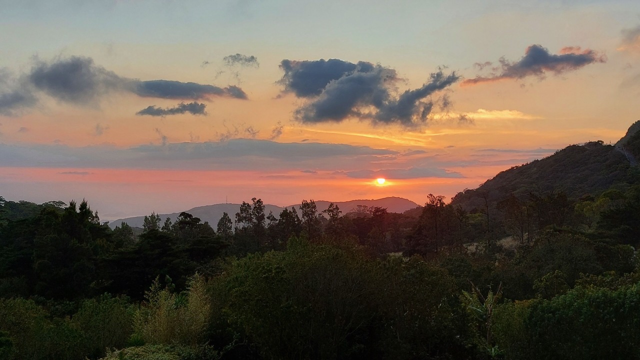 Photo of Others in Monteverde