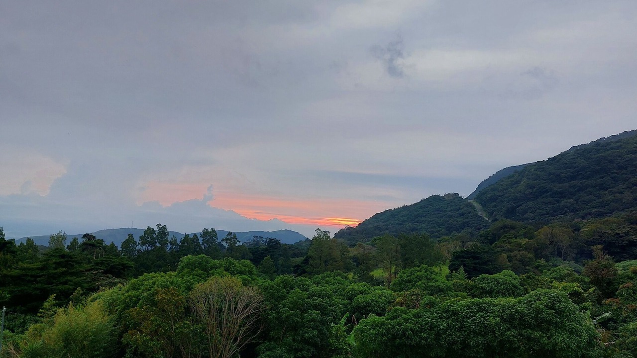 Photo of Others in Monteverde