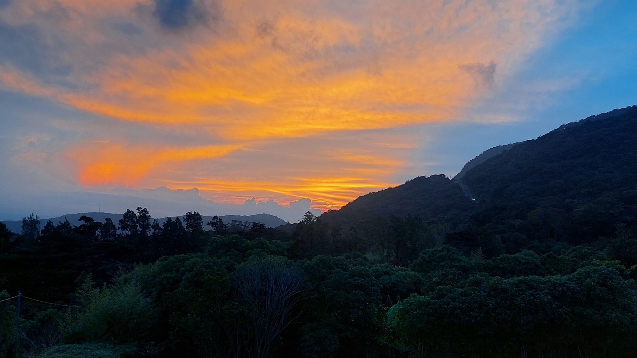 Photo of Others in Monteverde