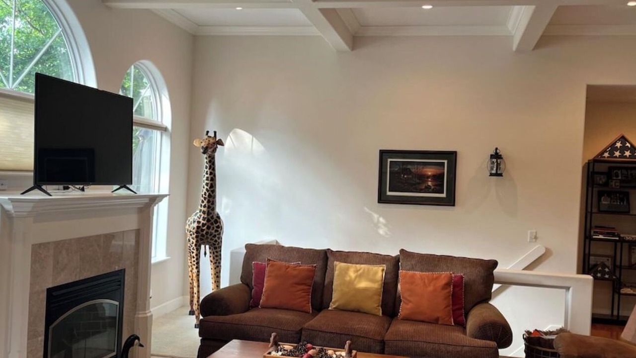 Photo of Livingroom in Roach