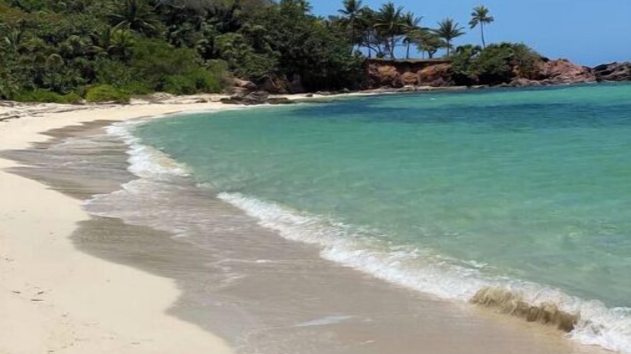 Photo of Others in Roatan