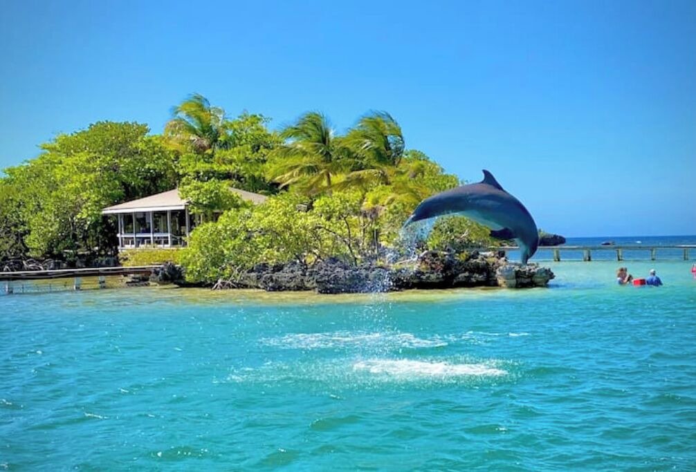 Photo of Others in Roatan