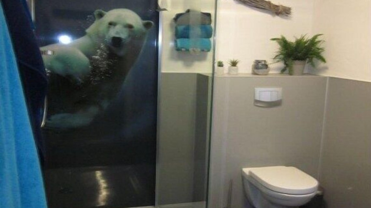 Photo of Bathroom in Assinghausen
