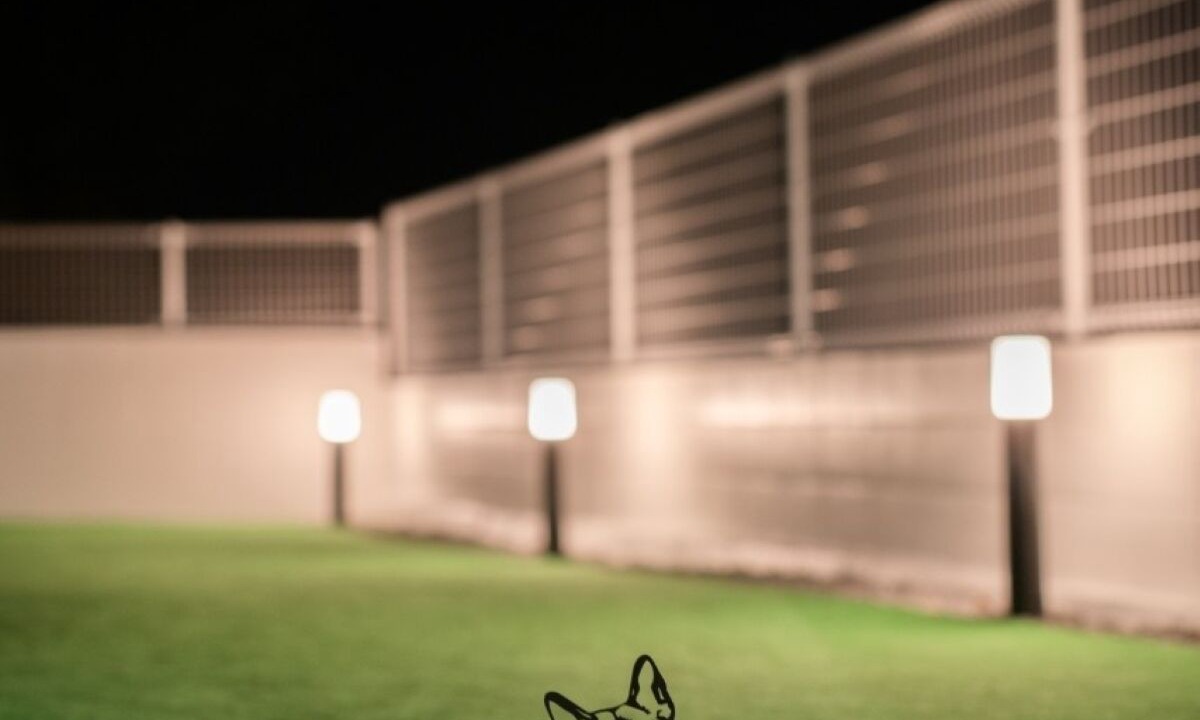 Photo of Outdoor in Wakugawa
