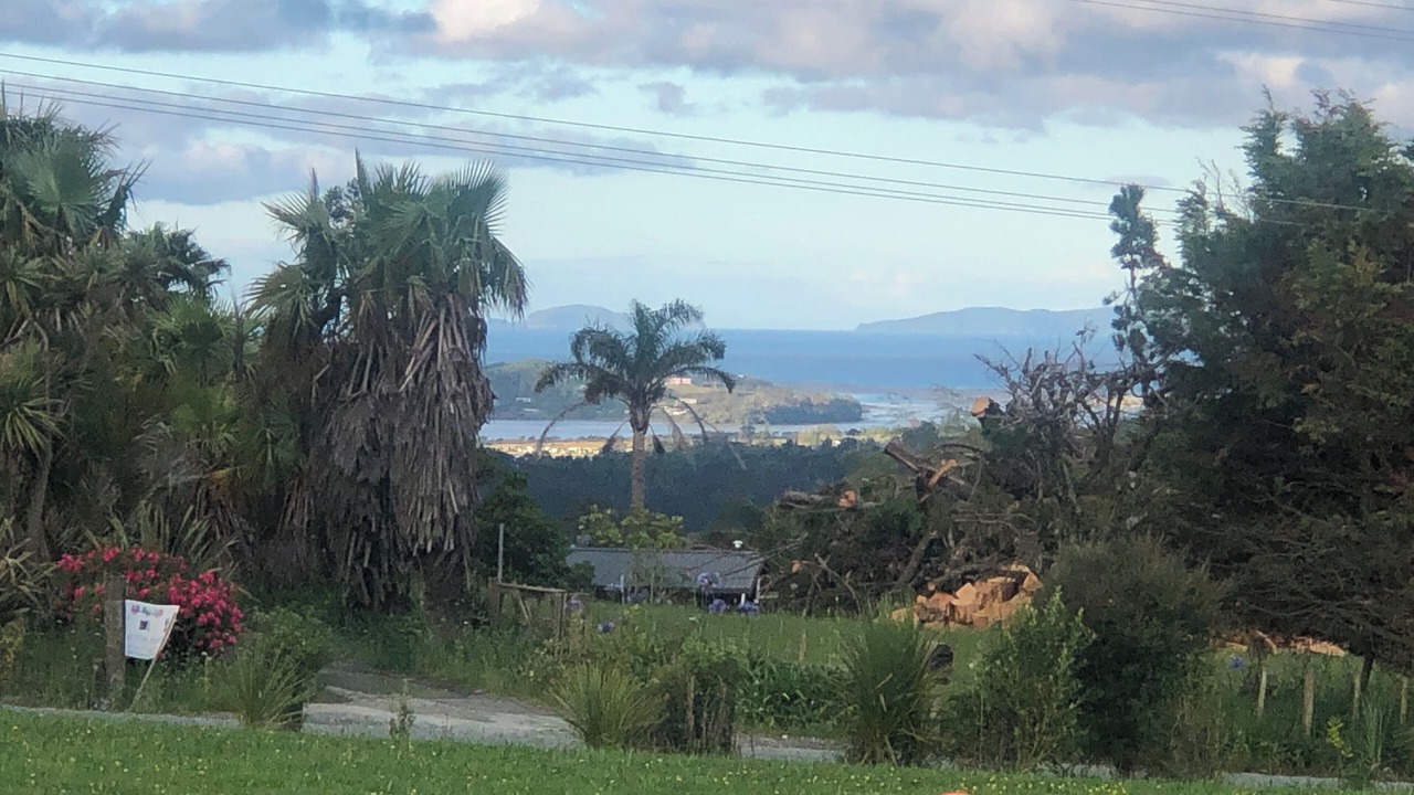 Photo of Outdoor in Mangawhai