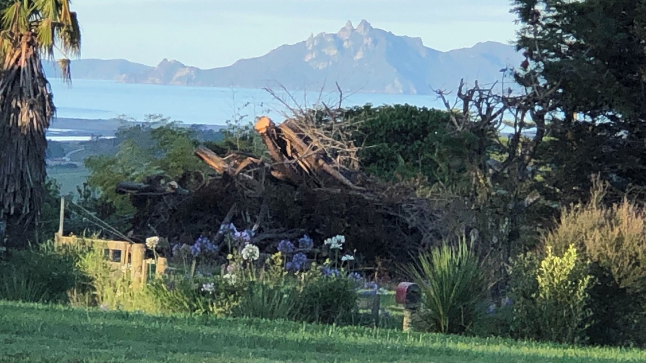 Photo of Outdoor in Mangawhai