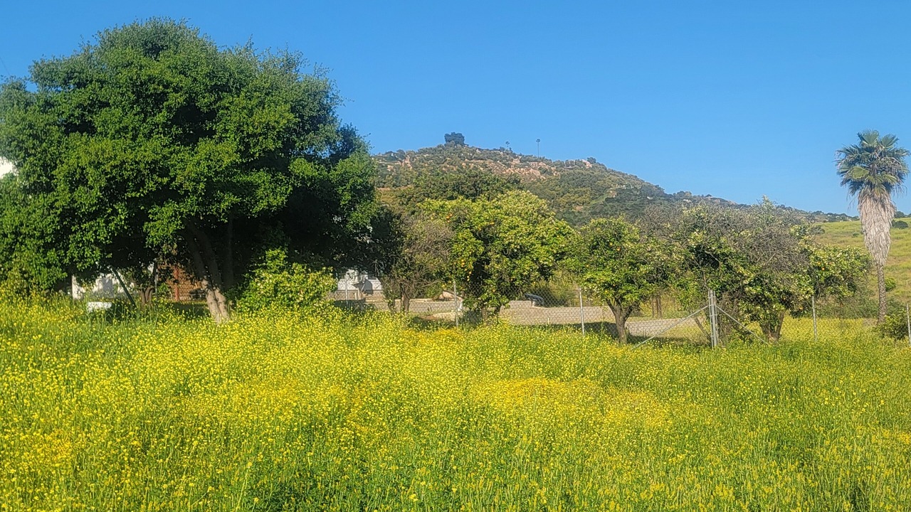 Photo of Outdoor in Escondido