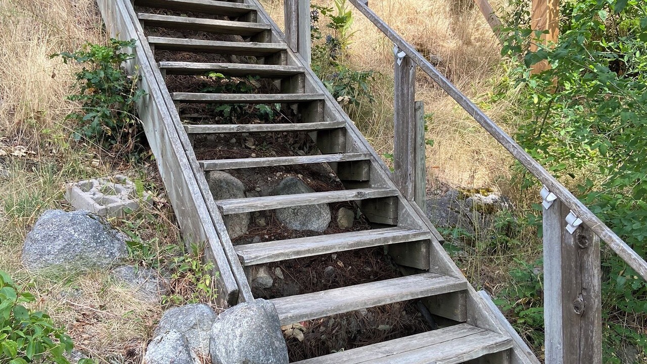 Photo of Outdoor in Nelson