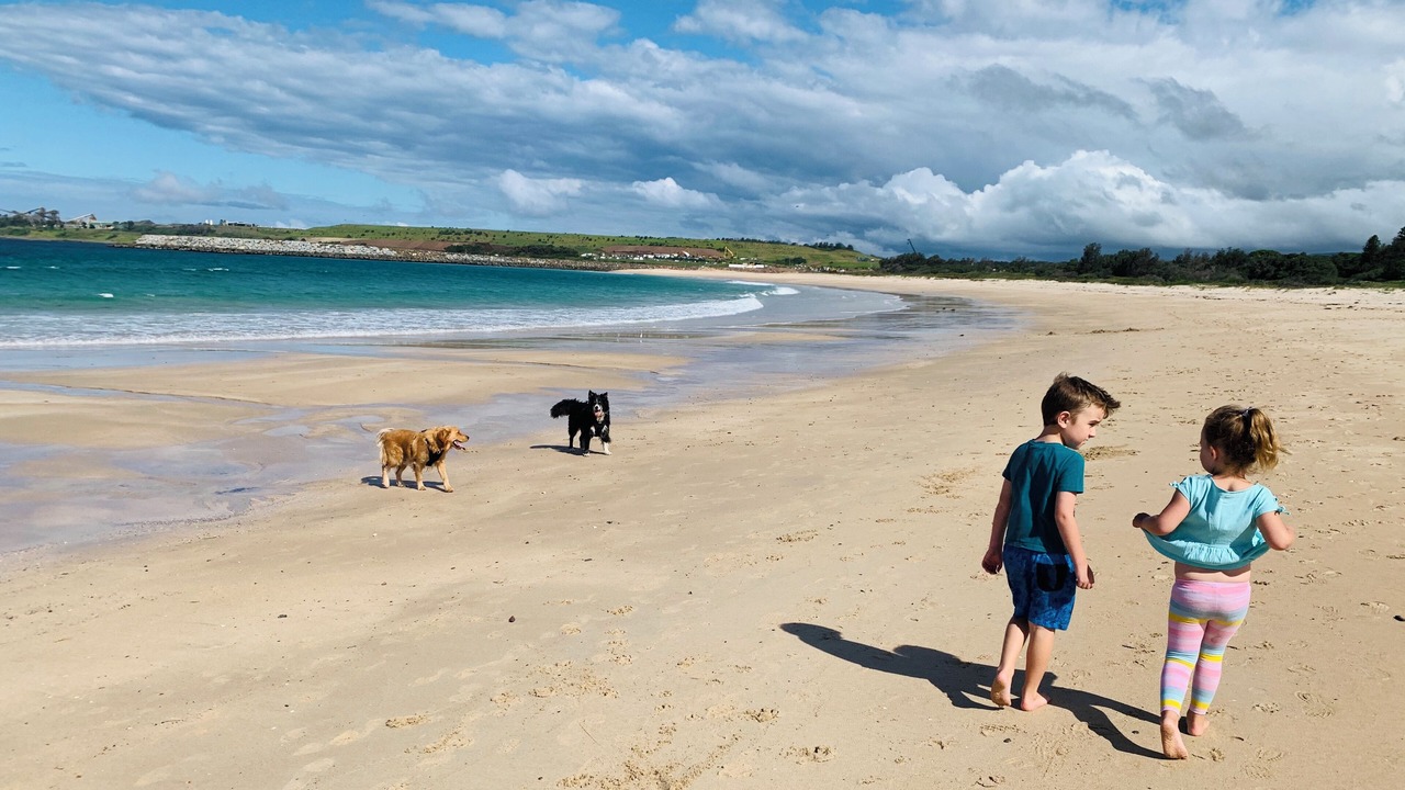 Photo of Others in Shellharbour