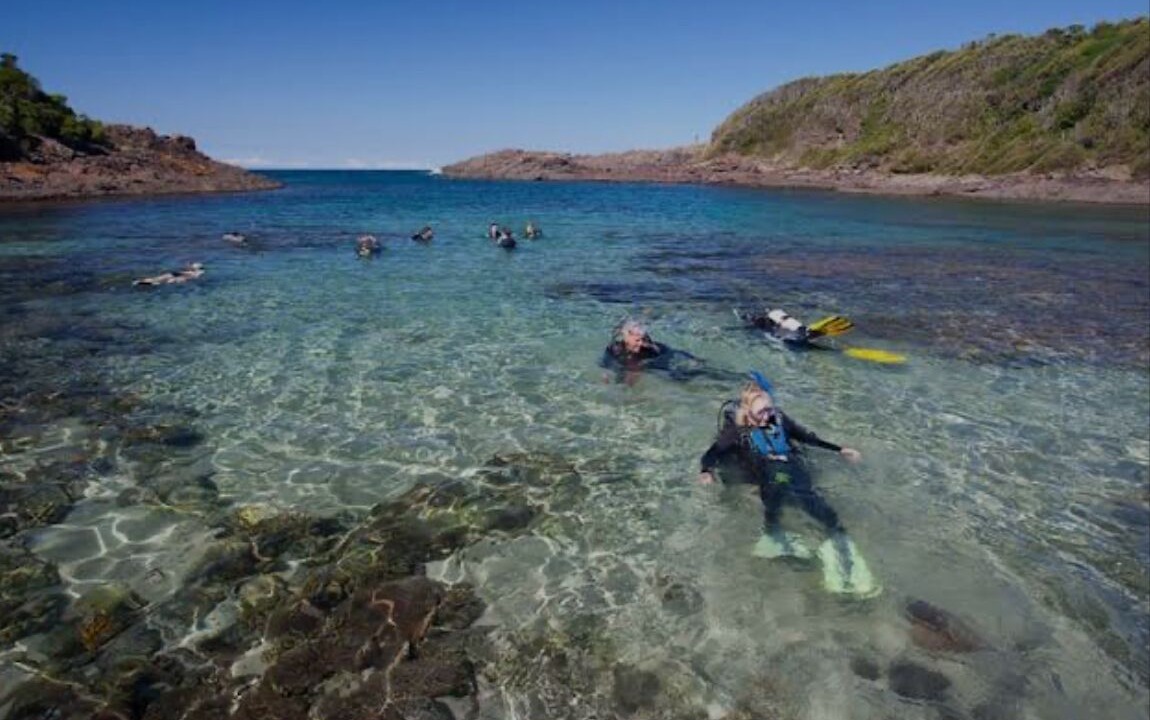 Photo of Others in Shellharbour
